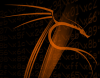 Offensive Security Exploit Archive