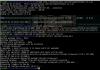 VMWare gueststealer 01