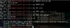 VMWare exploit