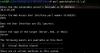 VMWare gueststealer 02