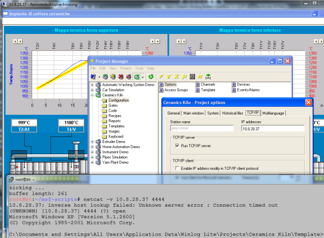 Sielco Sistemi Winlog Buffer Overflow